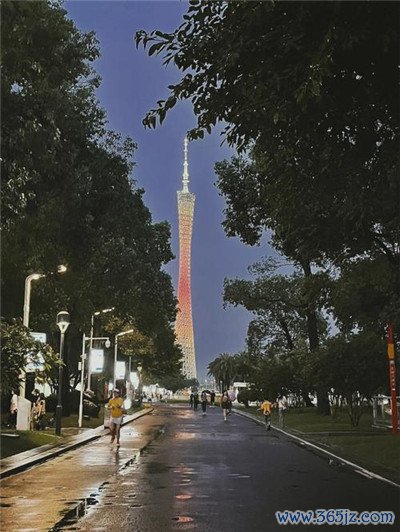 亲身感受洋马车展风采